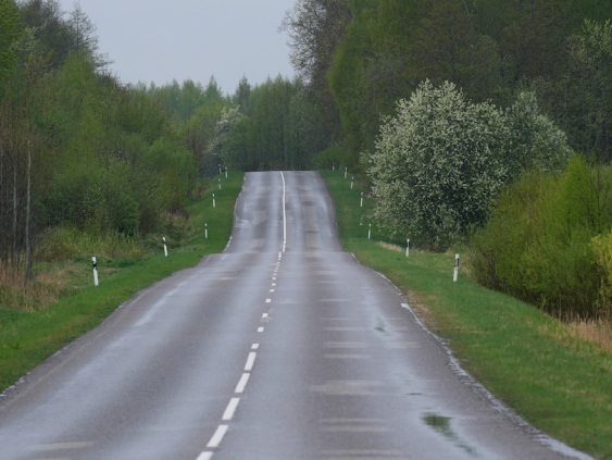 Для полного обновления сети государственных дорог нужно 2,9 млрд евро