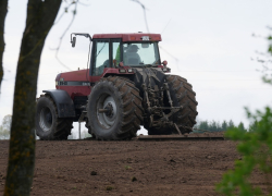 Конфликт на Ближнем Востоке может способствовать росту цен на удобрения и продукты питания в Латвии