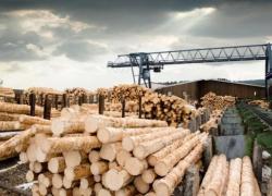 Латвийская промышленность продолжает набирать обороты