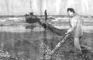 Бутинге угрожает экосистеме Балтийского моря
