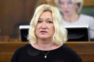 Лиепиня: над налоговой системой работают люди, которые живут в таблицах “эксель”