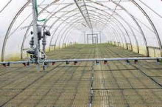 AgroFood Holding Lily намеревается построить