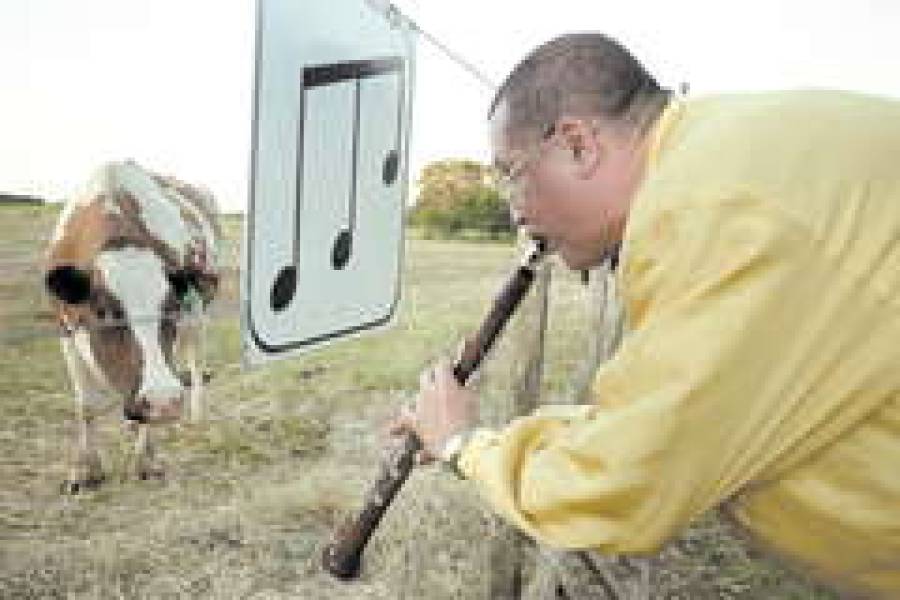 Правительство строит "потемкинские деревни".И вспоминает о малом и среднем бизнесе только в отчетах.
