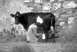 Кто снимет пенки с телеэфира? Пока не засветился ни один претендент на место гендиректора