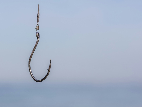 В течение недели мошенники украли 1,69 млн евро