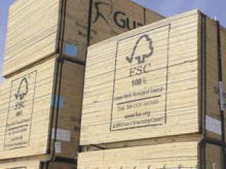 Потеря сертификата FSC принесет некоторые проблемы, но в LVM надеются его скоро восстановить.