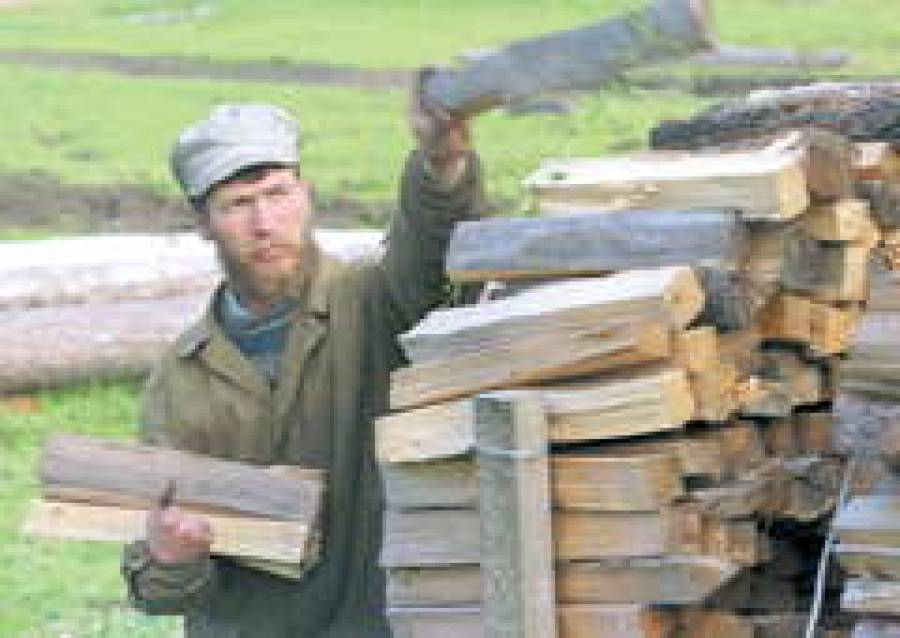 Русский лес минует Балтию. Москва подарила Латвии и Литве дополнительные прибыли.