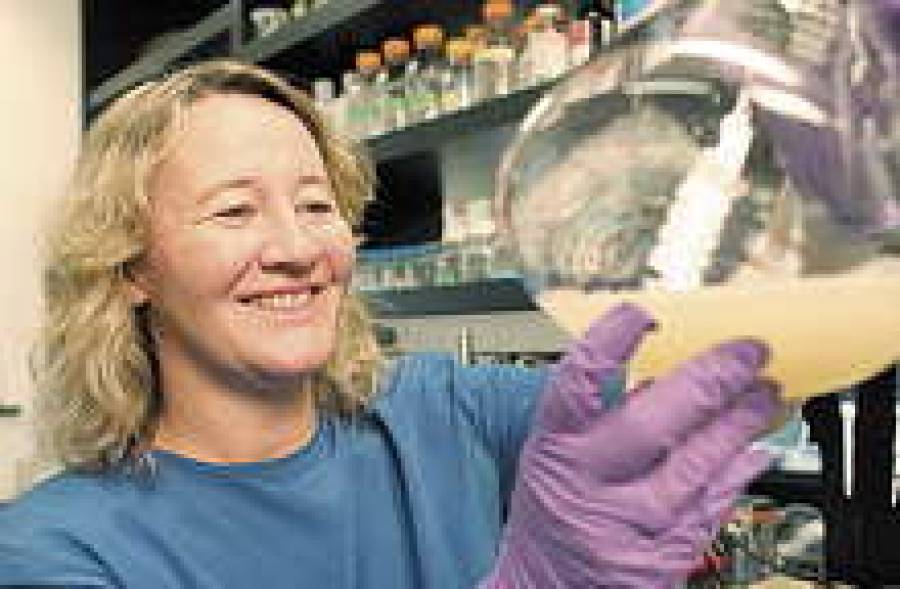 К.Грейдер: “Хромосомы — это наше все”.