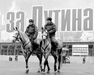 Предвыборная лихорадка