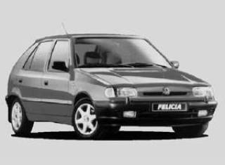 Литовцы предпочитают практичность &quot;Шкоды&quot;. 