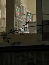 Латвия по заболеваемости "Covid-19" вышла на первое место в Европе