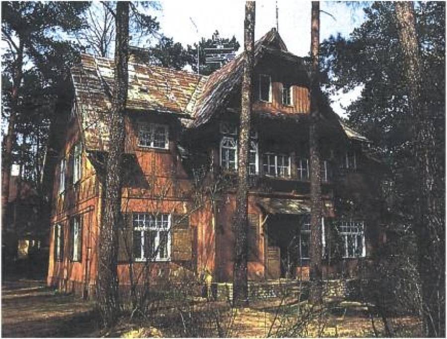 Город-сад в Царском лесу