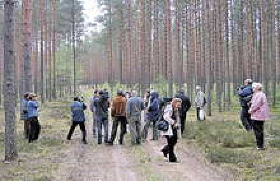 Представители AO Baltic Pulp показывают журналистам место будущего строительства целлюлозного завода в Крустпилсской волости.
