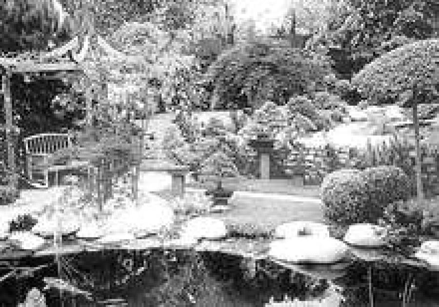 Так выглядит сад в японском стиле.