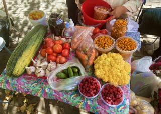 Торговля сельскохозяйственной и иной продукцией на рынке и в местах уличной торговли