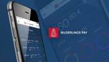 Bilderlings Pay: Полный финансовый контроль в вашем мобильном телефоне