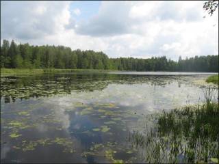 Нынешний порог для ВНЖ  оказался россиянам не по карману