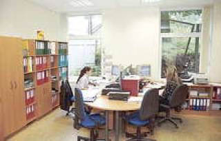 Свет не должен быть направлен прямо на монитор.