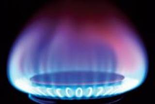 Грибаускайте: Литва проживет и без российского газа. И вытянет Латвию с Эстонией
