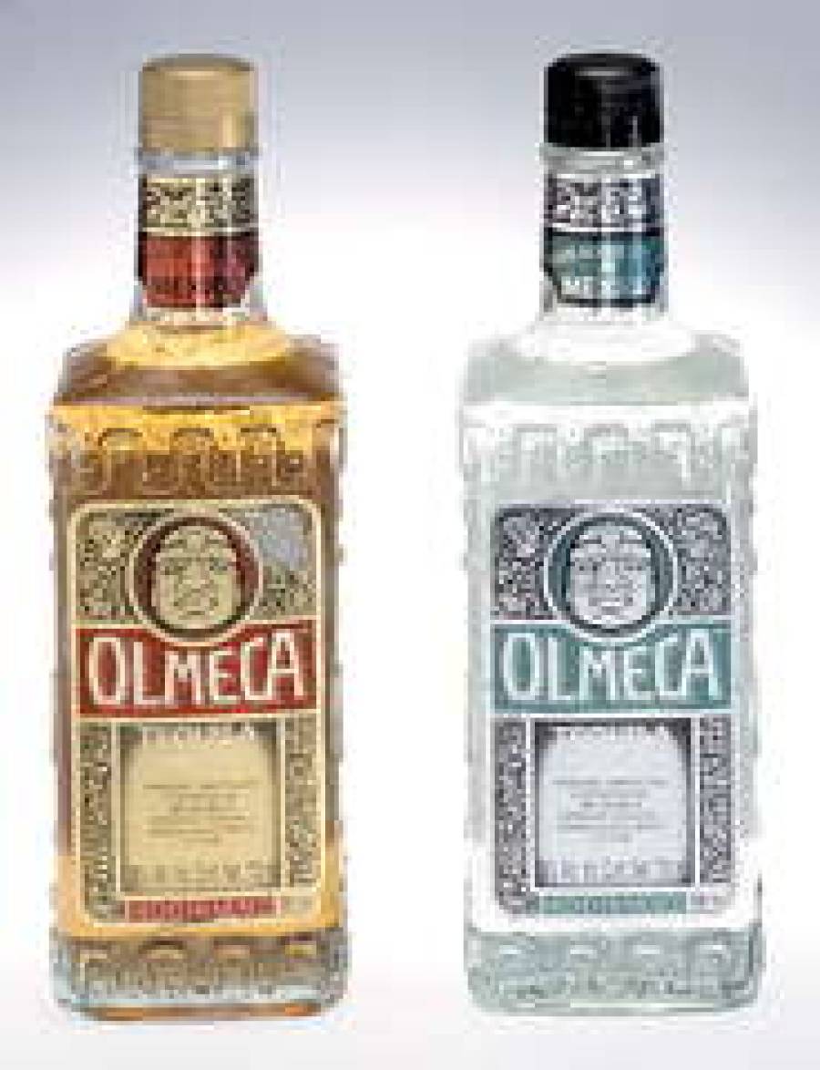 Olmeca неотделима от истории Мексики