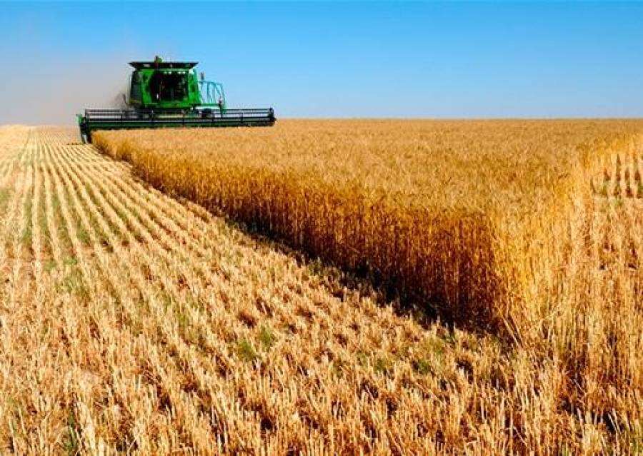 Фермеры готовятся к рекордному урожаю