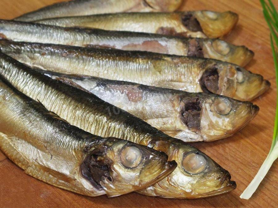 Популяция салаки в Балтийском море сокращается