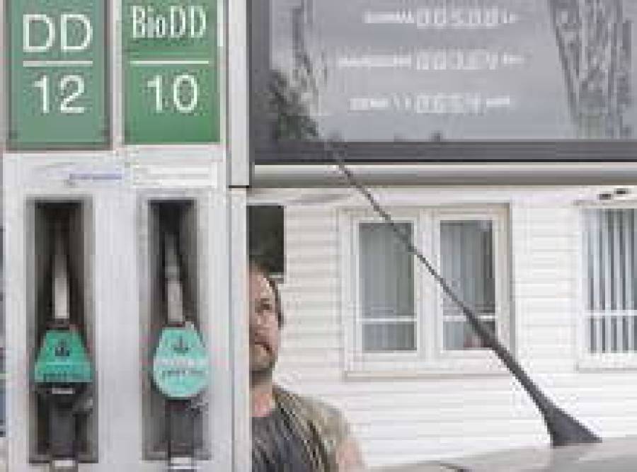 Почти наверняка биодобавки к горючему будут местного происхождения.