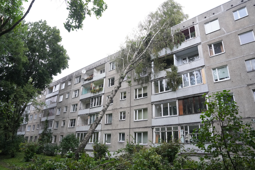 Устранение последствий августовского шторма обошлось &laquo;Sadales tīkls&raquo; примерно в 7,3 млн евро