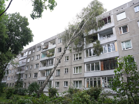 Устранение последствий августовского шторма обошлось «Sadales tīkls» примерно в 7,3 млн евро