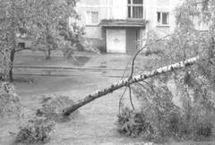 Правительство не выделяет средств на изучение стихийных бедствий