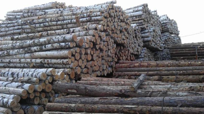 В прошлом году Латвия экспортировала товары в 203 страны мира