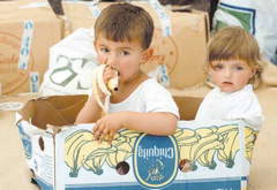  Они еще ничего не знают об НДС.