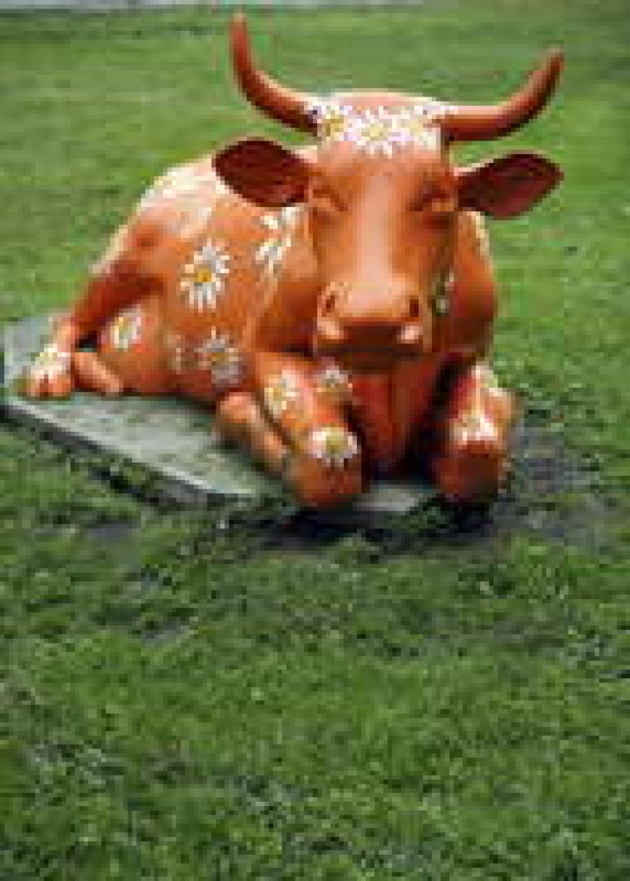 Латвийские коровы стали столь драгоценным экспортным продуктом.