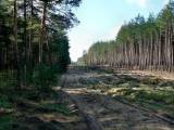 СМИ: Россия готовится к войне с Польшей