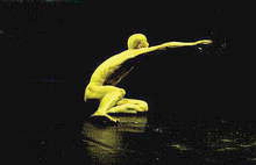 Голые и лысые