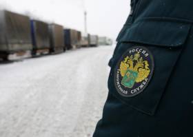Еврокомиссию призывают расследовать нарушения российского эмбарго