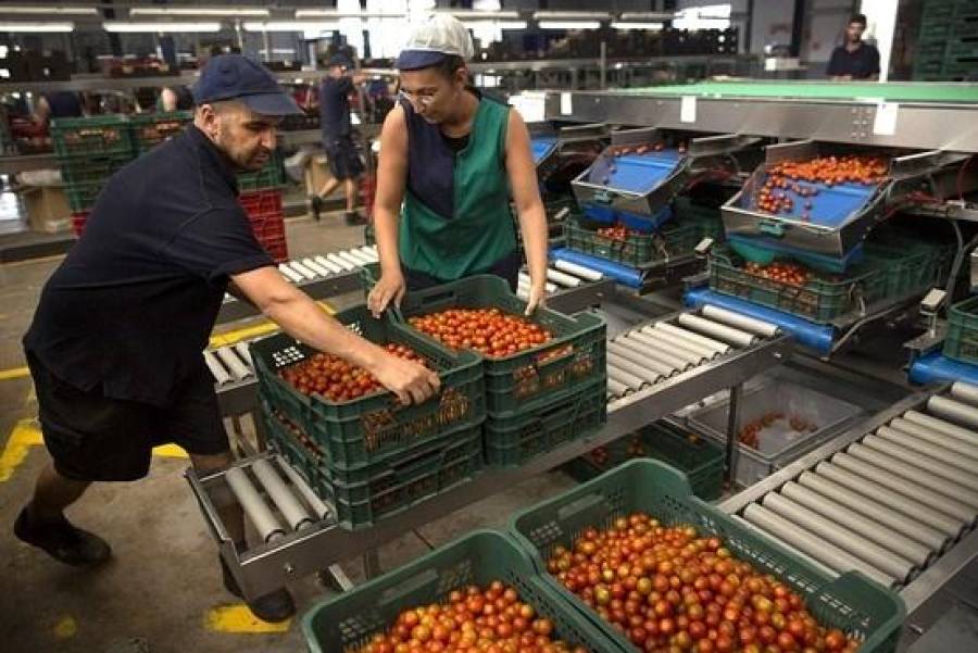 ЕС предоставит еще 165 миллионов евро на поддержку сельхозпроизводителей