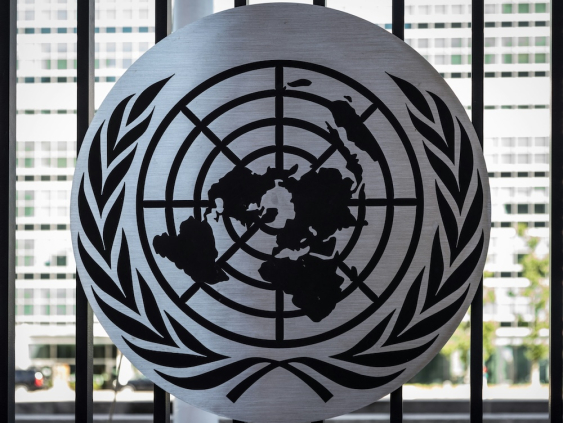 Латвия начинает работу в Совете Безопасности ООН