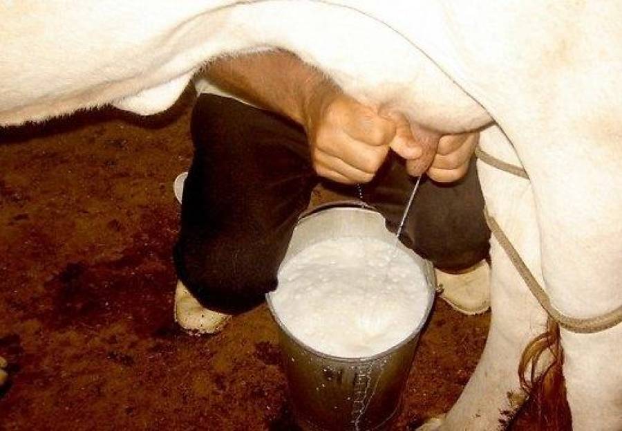 Эстонские фермеры не могут платить по кредитам
