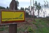 Latvijas meži потратит на дороги 21,5 млн евро