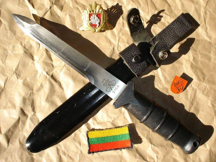 Литовским генералам на 5 лет задерживают пенсию