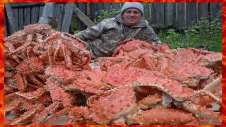 Латвия проиграла битву за снежных крабов