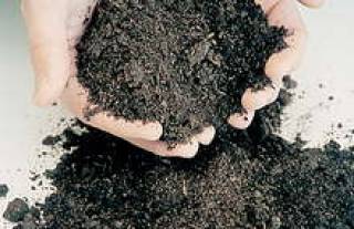 Использование компоста набирает популярность.