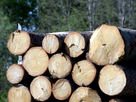 Импорт продукции лесной отрасли за два месяца уменьшился