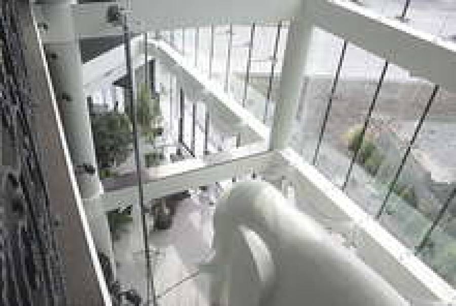 Elefant в Риге не прижился.