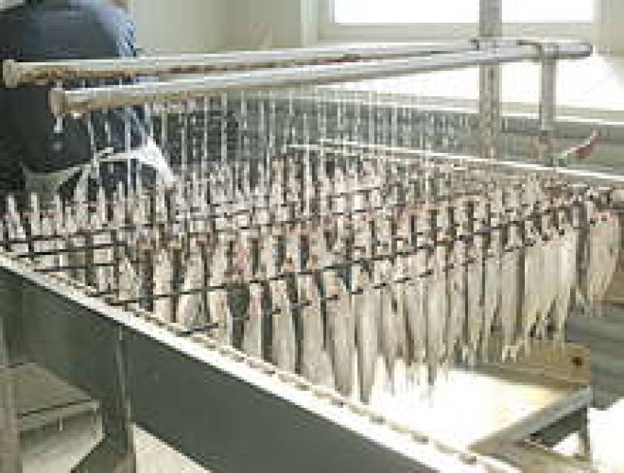 Многолетняя технология обрабoтки рыбы Евросоюзу не по вкусу.