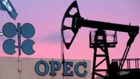 Аналитик: ОПЕК сеет семена будущего нефтяного кризиса
