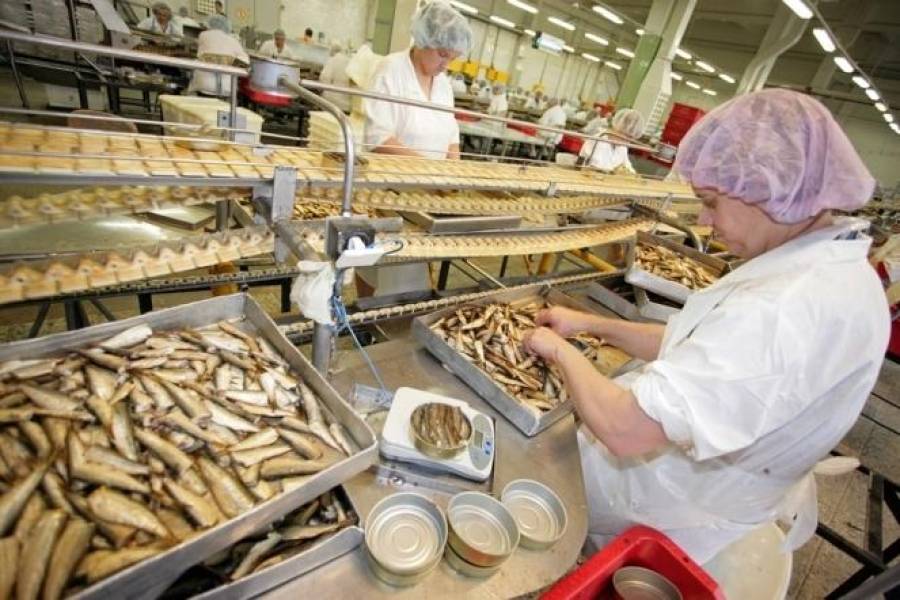 Льготы рыбопереработчикам, пострадавшим от запрета на импорт