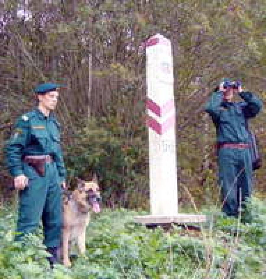 Контрабанду поборют премиями