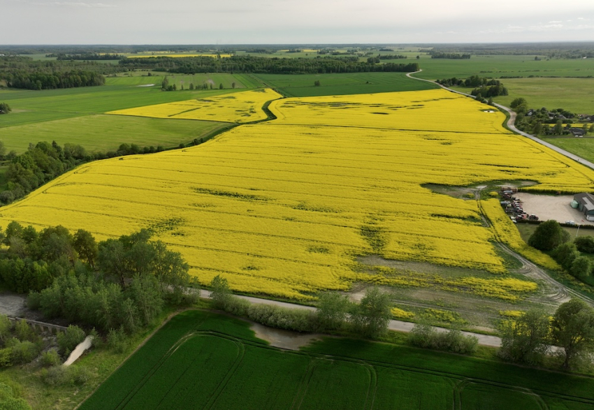 Из-за высоких цен на топливо фермеры могут сократить площади или даже ликвидироваться